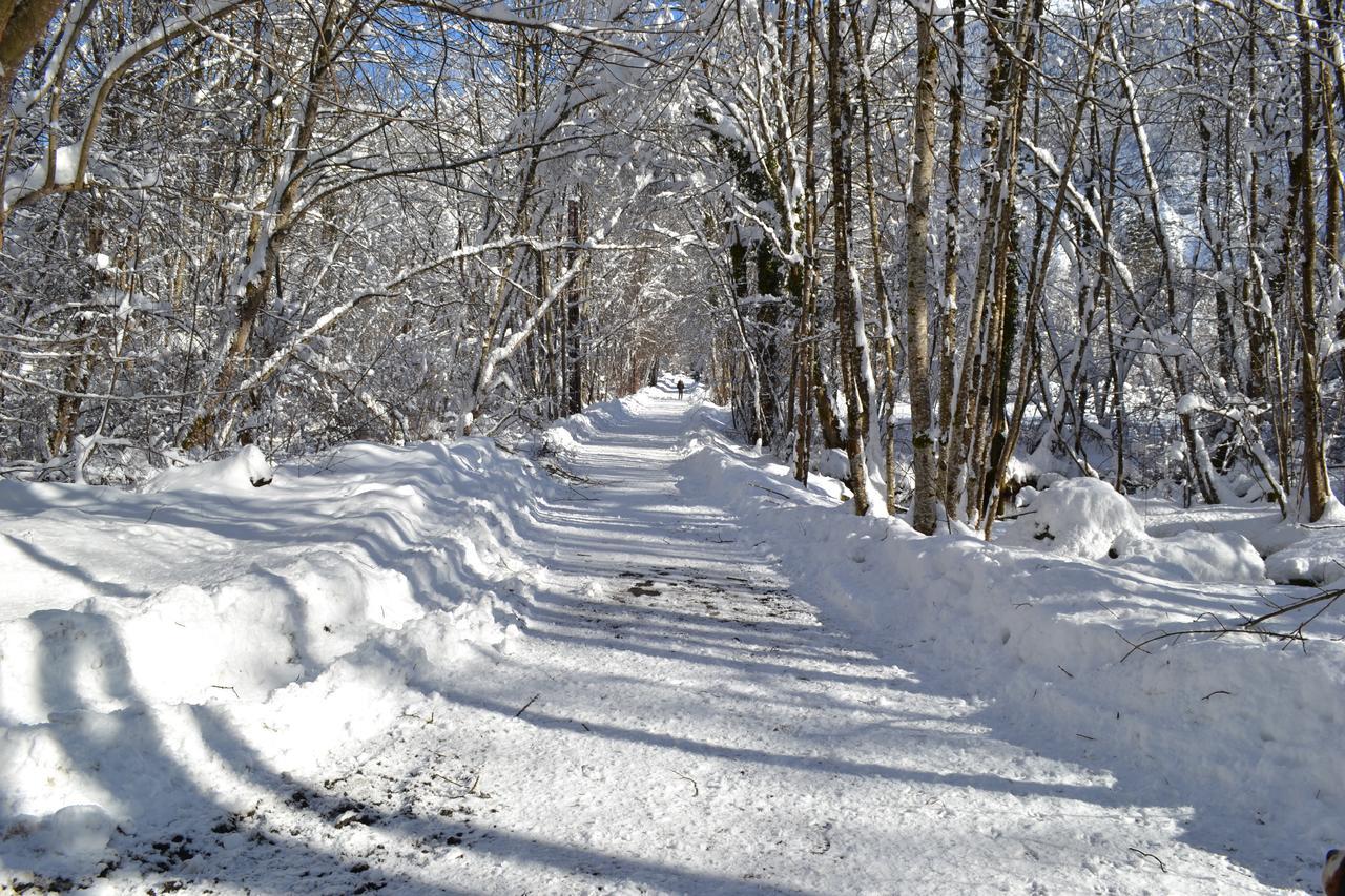 Le Bourg-dʼOisans La Cle Des Bois Bed & Breakfast エクステリア 写真